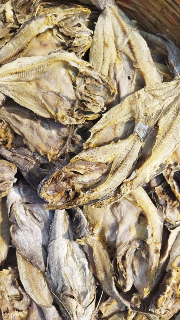 Parrot Fish Karuvadu / கிளி மீன் கருவாடு