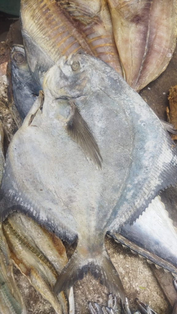 Pomfret Karuvadu / வாவல் கருவாடு