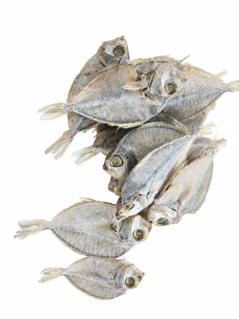 Pony Fish Karuvadu / காரை கருவாடு