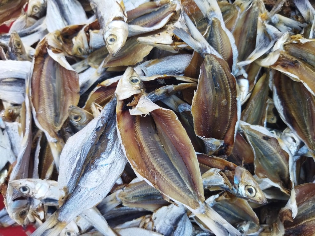 Rainbow Sardine Karuvadu / மொத கெண்டை கருவாடு