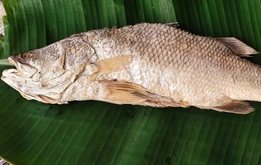 Asian Seabass Karuvadu / கொடுவா கருவாடு